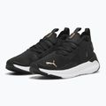Buty do biegania damskie PUMA Softride Symmetry Fuzion puma black/puma gold