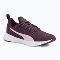 Buty PUMA Flyer Runner midnight plum/mauve mist