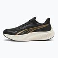 Buty do biegania PUMA Pounce Lite puma gold/puma black