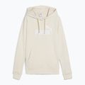 Bluza damska PUMA ESS No. 1 Logo Hoodie TR alpine snow