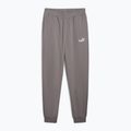 Spodnie męskie PUMA ESS No. 1 Logo Sweatpants TR CL cast iron