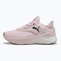 Buty do biegania damskie PUMA Softride Mayve rose mauve/puma black/sun struck