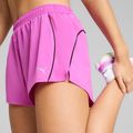 Spodenki do biegania damskie PUMA Run Velocity 3" wild berry 6