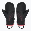 Rękawice narciarskie dziecięce ZIENER Luron Aquashield PR Mitten multicolor 2