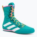 Buty bokserskie adidas Box Hog 4 turquise
