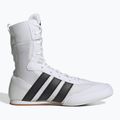 Buty bokserskie adidas Box Hog Classic white 2