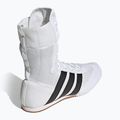 Buty bokserskie adidas Box Hog Classic white 4