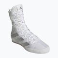 Buty bokserskie adidas Box Hog 4 white/silver