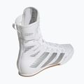 Buty bokserskie adidas Box Hog 4 white/silver 2
