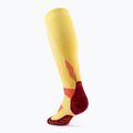 Skarpety kompresyjne damskie CEP Run Tall 5.0 marigold/burgundy 3