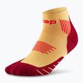 Skarpety kompresyjne męskie CEP Run Low Cut 5.0 marigold/burgundy 2