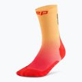 Skarpety kompresyjne męskie CEP Run Edt. Gradient Mid Cut Compression 5.0 red/marigold fade 2