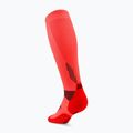 Skarpety kompresyjne damskie CEP Run Tall 5.0 neon coral 3