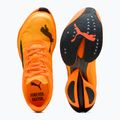 Buty do biegania męskie PUMA Fast-R Nitro Elite 3 heat fire/sun stream 6