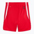 Spodenki koszykarskie męskie PUMA teamJAWS Starter for all time red 2