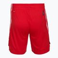 Spodenki koszykarskie męskie PUMA teamJAWS Starter for all time red 2
