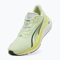 Buty do biegania męskie PUMA Electrify Nitro 4 green 3