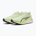 Buty do biegania męskie PUMA Electrify Nitro 4 green 4