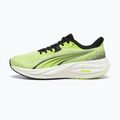 Buty do biegania Puma Electrify Nitro 5 sunny lime/puma black