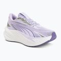Buty do biegania Puma Maxima Pro light lavender/plum purple
