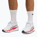 Buty do biegania męskie Puma Velocity Nitro 5 puma white/ultra red 7