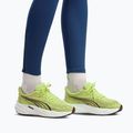 Buty do biegania damskie Puma Velocity Nitro 5 sunny lime/puma black 7