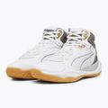 Buty do koszykówki męskie PUMA Playmaker Pro Mid Trophies ash gray/cast iron/puma gold 8