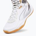 Buty do koszykówki męskie PUMA Playmaker Pro Mid Trophies ash gray/cast iron/puma gold 12