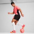 Buty piłkarskie PUMA Future 7 Ultimate FG/AG sunset glow/puma black/sun stream 15
