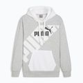 Bluza męska PUMA Power Graphic Hoodie TR light gray heather