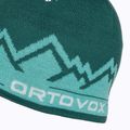 Czapka zimowa ORTOVOX Peak pacific green 4