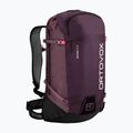 Plecak narciarski ORTOVOX Ravine 26 l S winetasting 5