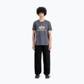 Koszulka męska Alpha Industries Basic greyblack 2
