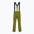 Spodnie narciarskie męskie Descente Roscoe olive green 2
