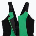 Spodnie narciarskie Descente Velche 19 bio green 4