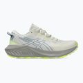 Buty do biegania damskie ASICS Gel-Excite Trail 2 birch/dolphin grey 8