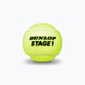 Piłki tenisowe dziecięce Dunlop Stage 1 3 szt. zielone 601338 3