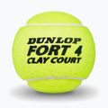 Piłki tenisowe Dunlop Fort Clay Court 4B 2025 3