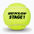 Piłki tenisowe Dunlop Stage 1 3 pack green 3