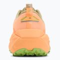 Buty do biegania męskie ASICS Trabuco Max 4 cream/khaki 6