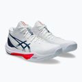 Buty męskie ASICS Sky Elite FF MT 3 white/mako blue 3