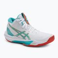 Buty do siatkówki damskie Asics Sky Elite FF MT 3 white/sea glass
