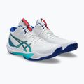 Buty do siatkówki męskie ASICS Sky Elite FF MT 3 white/asics blue 10