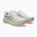 Buty do biegania męskie ASICS GT-1000 14 white/lemongrass 10