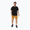 Spodenki do biegania męskie ASICS Core 7IN sandstorm 2