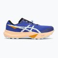 Buty do biegania męskie ASICS Fuji Lite 6 cobalt burst/cool grey 2