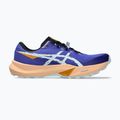 Buty do biegania męskie ASICS Fuji Lite 6 cobalt burst/cool grey 8