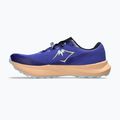 Buty do biegania męskie ASICS Fuji Lite 6 cobalt burst/cool grey 9
