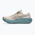 Buty do biegania męskie ASICS Gt-2000 15 TR simply taupe/foggy teal 10