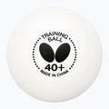 Piłeczki do tenisa stołowego Butterfly 120 szt. white